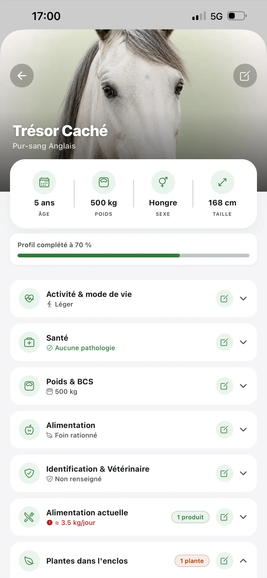 Profil détaillé d'un cheval