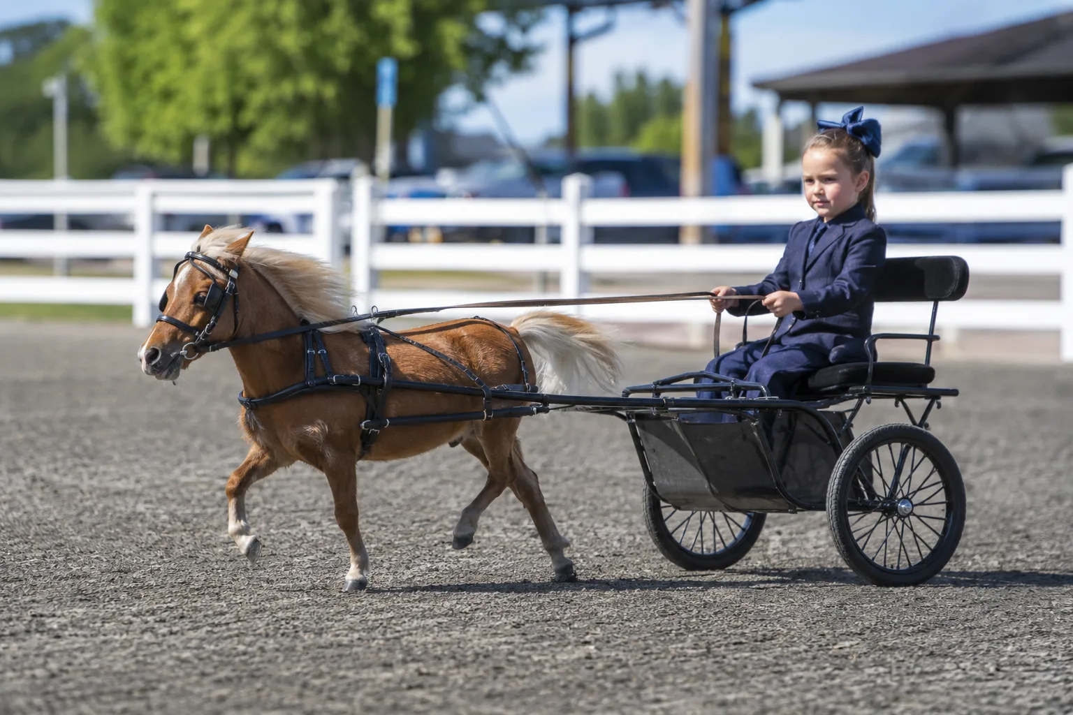 Adaev horse galloping in the steppe, dynamic and powerful movement