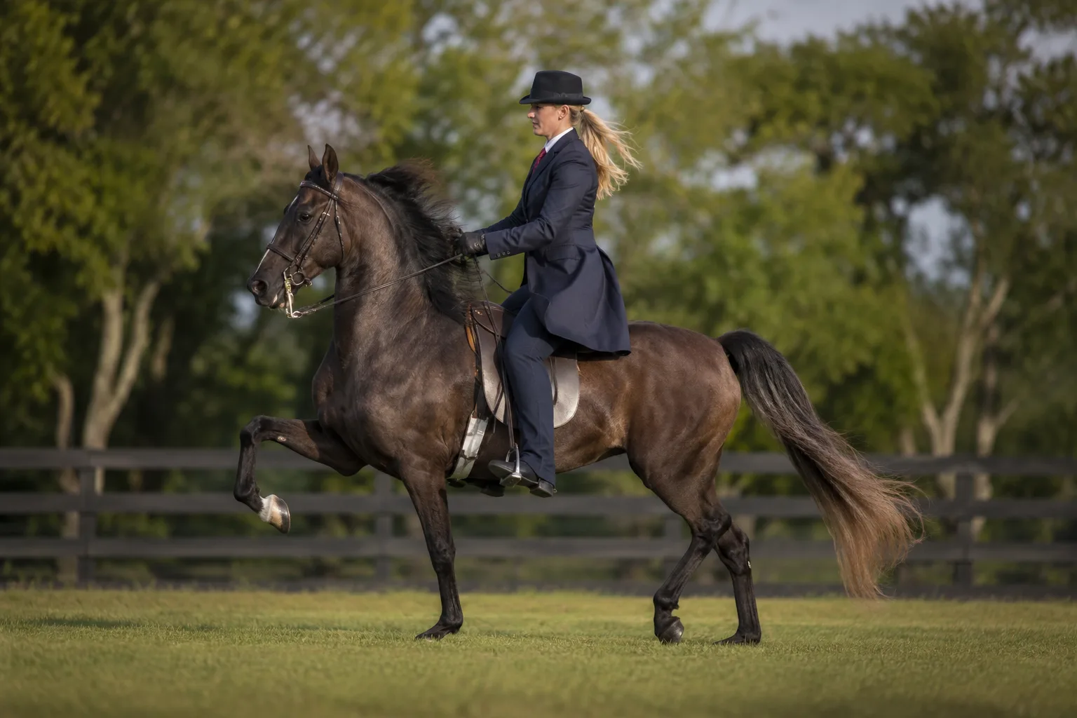 Chestnut Andravida horse at a gallop with a rider, demonstrating its supple and energetic gaits.