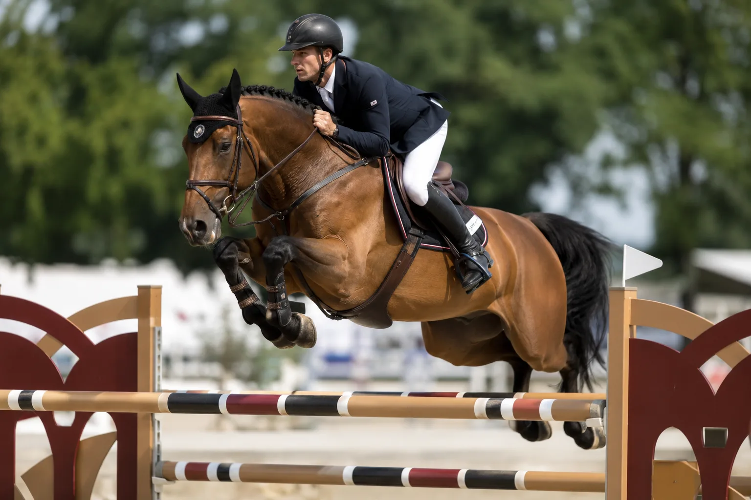 Holsteiner in mid-show jump, clearing a high rail with power and agility.